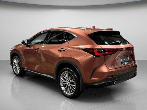 2025 Lexus NX 350h Premium
