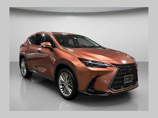 2025 Lexus NX 350h Premium