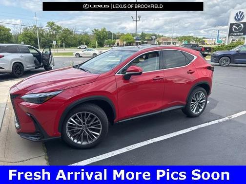 2025 Lexus NX 350h Luxury