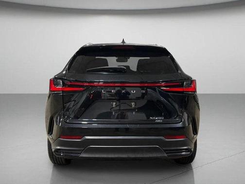 2022 Lexus NX 250 Premium