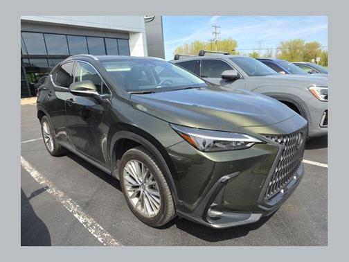 Nori Green Pearl 2025 Lexus NX 350h Premium