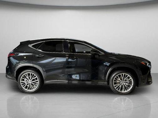 2025 Lexus NX 350h Luxury