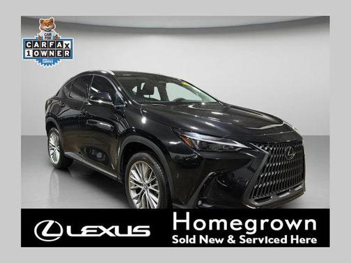 2025 Lexus NX 350 Premium