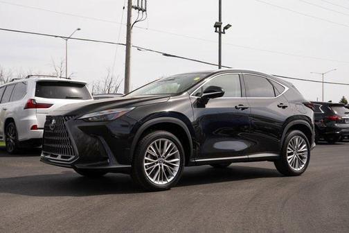 2025 Lexus NX 350 Premium
