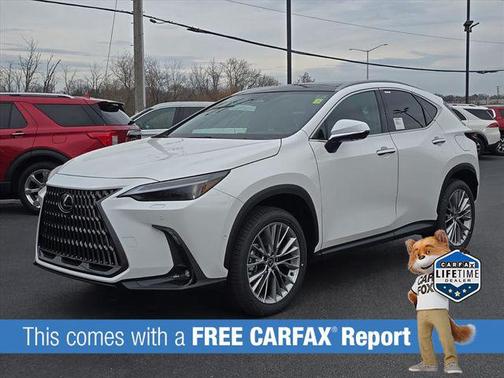 2026 Lexus NX 350 Luxury