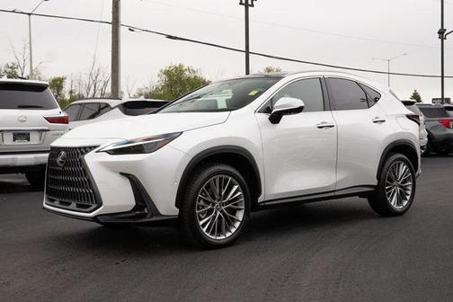 2025 Lexus NX 350h Luxury