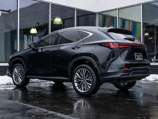 2023 Lexus NX 350 Luxury