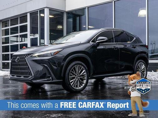2023 Lexus NX 350 Luxury