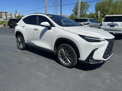 2024 Lexus NX 350h Luxury