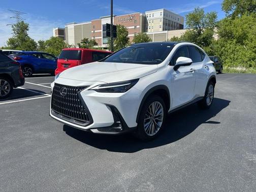 2024 Lexus NX 350h Luxury