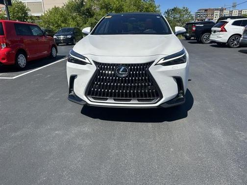 2024 Lexus NX 350h Luxury
