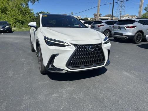 2024 Lexus NX 350h Luxury