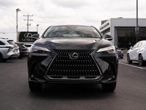 2025 Lexus NX 350 Luxury