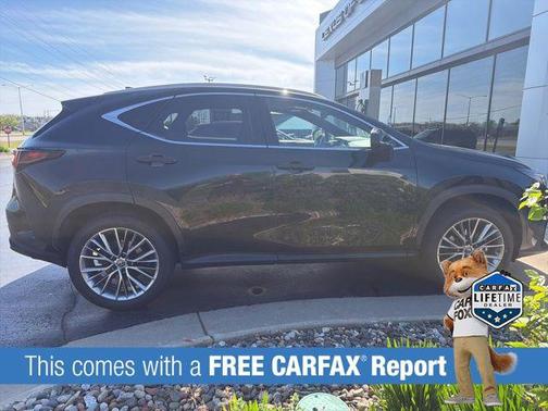 Caviar 2022 Lexus NX 350h Luxury