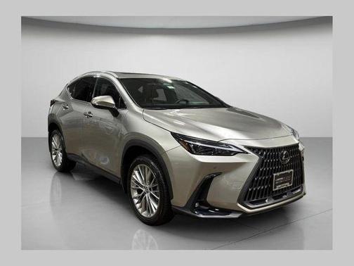 2025 Lexus NX 350h Premium