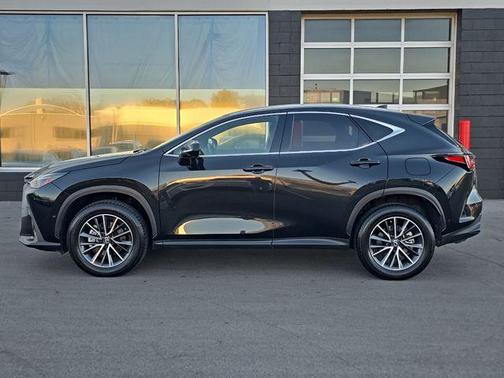2024 Lexus NX 350h Luxury