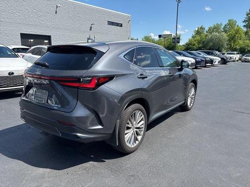 2025 Lexus NX 350h Premium