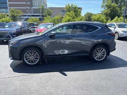 2025 Lexus NX 350h Premium