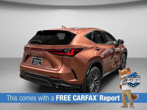 2025 Lexus NX 350 350 Base