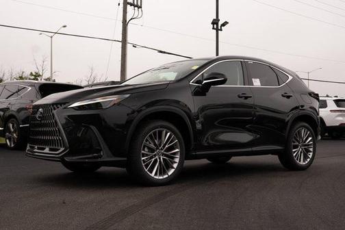 2025 Lexus NX 350 Luxury