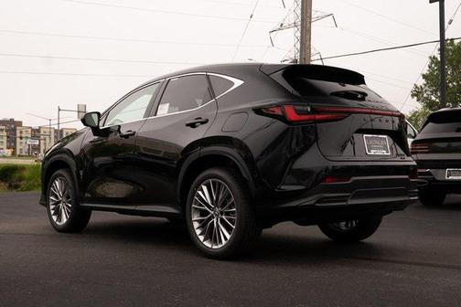 2025 Lexus NX 350 Luxury