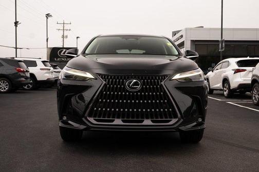 2025 Lexus NX 350 Luxury