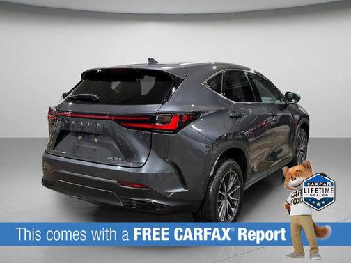 2023 Lexus NX 350 Premium
