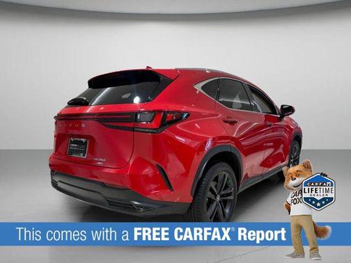 Redline 2025 Lexus NX 350 Premium