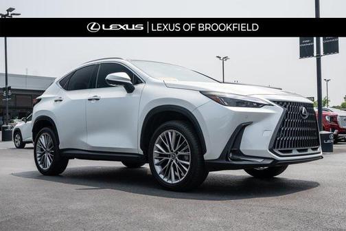 2022 Lexus NX 350 Luxury