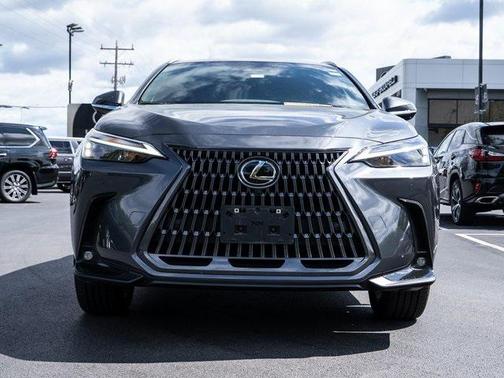 2025 Lexus NX 350h Premium