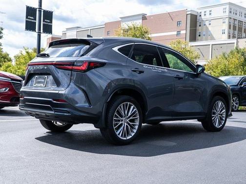 2025 Lexus NX 350h Premium