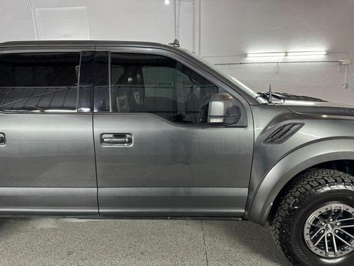 Magnetic Metallic 2019 Ford F-150 Raptor
