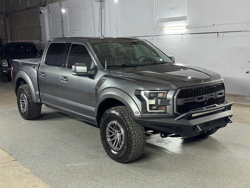 Magnetic Metallic 2019 Ford F-150 Raptor