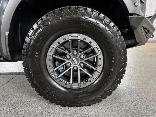 Magnetic Metallic 2019 Ford F-150 Raptor