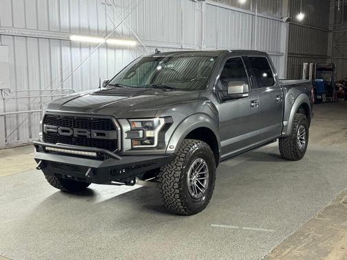 Magnetic Metallic 2019 Ford F-150 Raptor