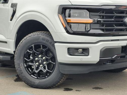 AVALANCHE 2026 Ford F-150 XLT