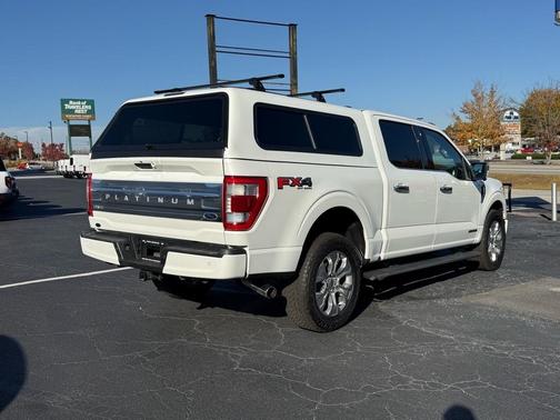 2021 Ford F-150 Platinum