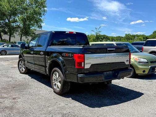 AGATE BLACK 2019 Ford F-150 PLATINUM