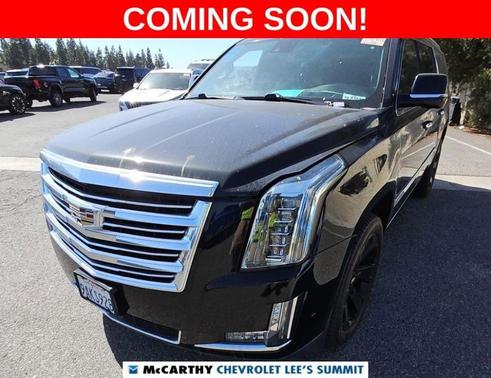 Black Raven 2020 Cadillac Escalade ESV Platinum