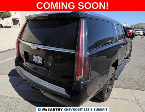 Black Raven 2020 Cadillac Escalade ESV Platinum