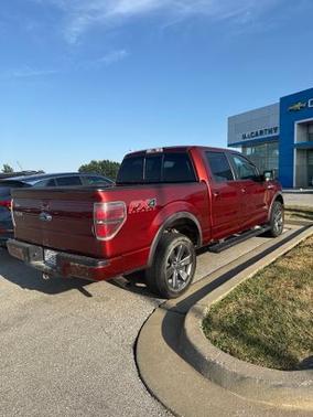 Sunset 2014 Ford F-150 FX4