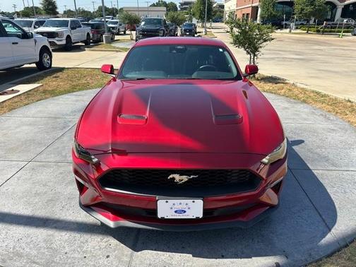 2022 Ford Mustang EcoBoost