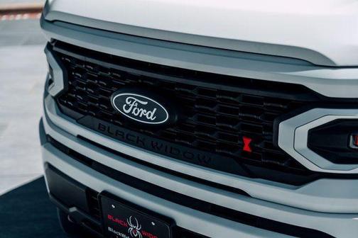 Matte White 2025 Ford F-150 XL