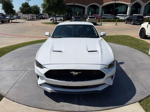 Oxford White 2019 Ford Mustang EcoBoost