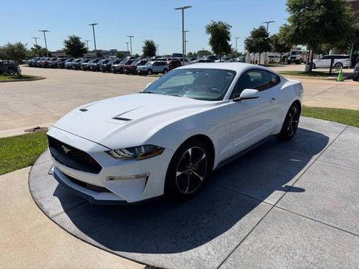 Oxford White 2019 Ford Mustang EcoBoost