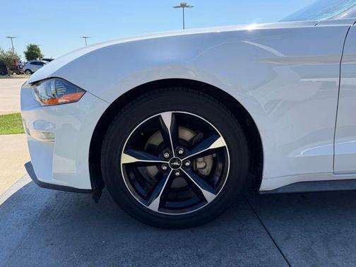 Oxford White 2019 Ford Mustang EcoBoost