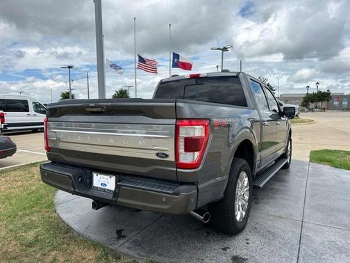 2021 Ford F-150 Platinum