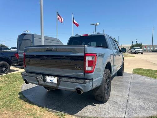 2023 Ford F-150 Platinum