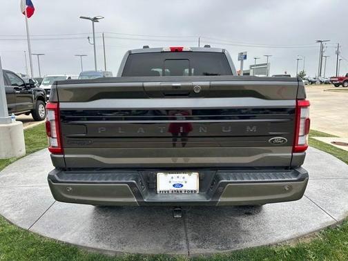 2022 Ford F-150 Platinum
