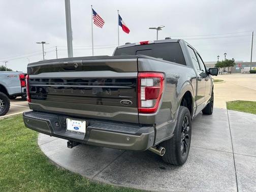 2022 Ford F-150 Platinum